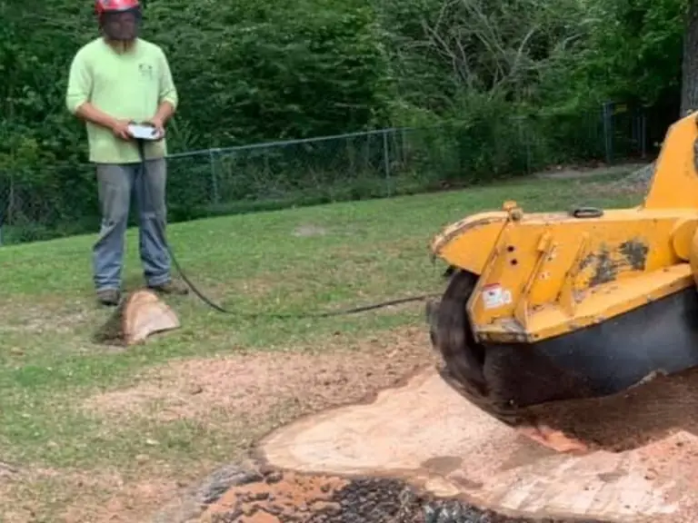 Godhans operator grinding a large oak stump in Jacksonville, NC